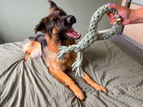 Macrame Pet Toy, Macrame Dog Harness, Macrame Dog Toys, Dog Macrame, Macrame Pet, Tapestry Diy, Dog Rope Toy, Dog Tug Toy, Diy Tapestry