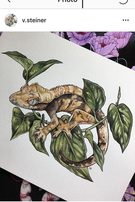 Crested Gecko Painting, Crested Gecko Tattoo Ideas, Crested Gecko Art, Crested Gecko Tattoo, Crested Gecko Drawing, Reptile Drawings, Gecko Painting, Reptile Painting, Gecko Drawing