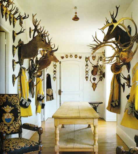 European Hunting Lodge, European Mounts, Decorating With Antlers, Deer Heads, Trophy Display, Cabinet Of Curiosity, Hunting Room, Antler Art, Trophy Rooms