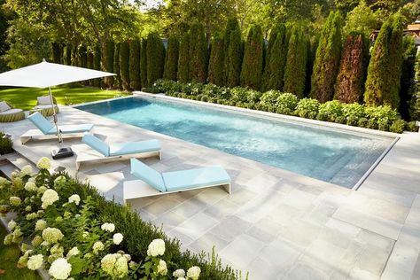 Downtown Sophistication - Transitional - Pool - Toronto - by User | Houzz in 2022 | Backyard pool landscaping, Pools backyard inground, Backyard pool designs Kleiner Pool Design, Diy Keramik, Moderne Pools, Pools Backyard Inground, Swimming Pool Landscaping, Pool Landscape Design, Diy Swimming Pool, Small Pool Design, Concrete Pool