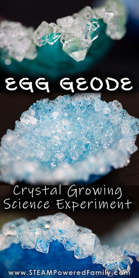 Growing crystals is an easy experiment with gorgeous results in this egg geode science experiment. Learn about crystallization with this easy science project for kids. Perfect for spring science or Easter. #CrystalGrowing #Crystals #EggGeode #Geode Science Project For Kids, Elementary Science Experiments, Science Experiments Kids Elementary, Easy Science Projects, Spring Science, Crystal Growing, Science Experiment For Kids, Toddler Science Experiments, Science For Toddlers