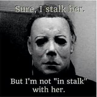 I'm not "in stalk" with her Go To Sleep Meme, Michael Myers Memes, Halloween Meme, Horror Memes, Sleep Meme, Michael Myers Art, Michael Meyer, Horror Movies Funny, Halloween Memes