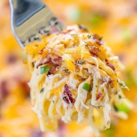 Optavia Again’s Instagram post: “Slow Cooker Crack Chicken 🐓🥓 Makes 5 servings- Per serving: 1 Leaner protein 3 condiments Ingredients: 2 lbs boneless chicken breasts 4…” Spaghetti Chicken, Chicken Spaghetti Casserole, Cheesy Chicken Spaghetti, Chicken Spaghetti Recipes, Spaghetti Casserole, Cheese Spaghetti, Tot Casserole, Chicken Spaghetti, Bacon Cheddar