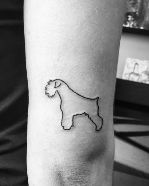 Small Schnauzer Tattoo, Schnauzer Outline Tattoo, Schnauzer Tattoo Minimalist, Mini Schnauzer Tattoo, Igor Tattoo, Schnauzer Tattoo, Tatoo Dog, Welsh Terrier, Delicate Tattoo