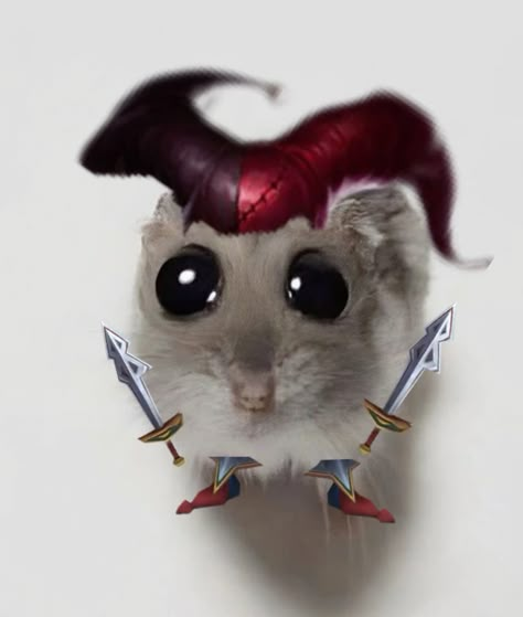 #shaco #leagueoflegends #leagueoflegendsfanart Hamster Icon, Arcane Memes, Video Games Memes, Cute Anime Profile, Cute Anime Profile Pictures, Anime Profile, Reaction Pictures, Mochi, League Of Legends