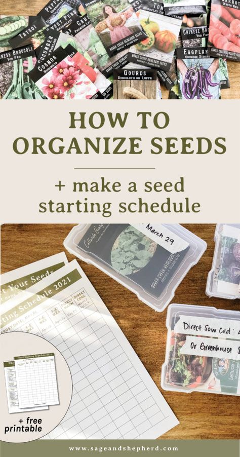 How To Organize Garden Seeds, Seed Starting Schedule, Seed Organization, Organize Seeds, Farmhouse Gardens, Seed Starting Calendar, Seed Inventory, Homestead Skills, Bee Yard