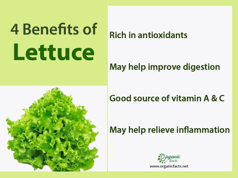 Benefits Of Lettuce, Lettuce Benefits, Sources Of Vitamin A, Fiber Foods, Healthy Salad, High Water, Improve Digestion, Lifestyle Tips, Dietary Fiber