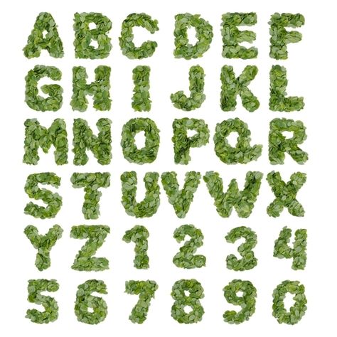 We have a real #typeface #family made of different kind of leaves. This font by #handmadefont is one of them. Check out more on handmadefont.com #leaf #leaves #green 타이포그래피 포스터 디자인, Aesthetic Letters, Beautiful Typography, Handmade Font, Times New Roman, Green Theme, Digital Notebooks, Font Types, Studying Inspo