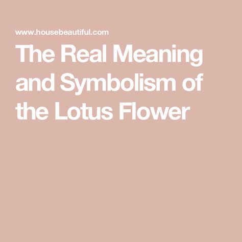 The Real Meaning and Symbolism of the Lotus Flower Lotus Symbol Meaning, Lotus Meaning, Lotus Flower Symbolism, Lotus Tattoo Meaning, Lotus Flower Colors, Lotus Flower Tattoo Meaning, Lotus Flower Meaning, Lotus Flower Wallpaper, Lotus Flower Logo