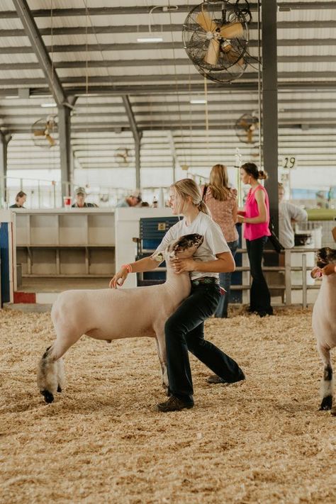 Katahdin Sheep, Outdoor Senior Photography, Livestock Photography, Sedalia Missouri, Livestock Judging, Show Cows, Show Goats, Livestock Show, Country Girl Life