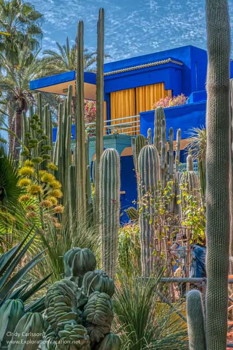 Morocco Painting, Majorelle Garden, Moroccan Garden, Visit Marrakech, Marrakech Travel, Moroccan Culture, Flowing Water, Marrakech Morocco, Lily Pond