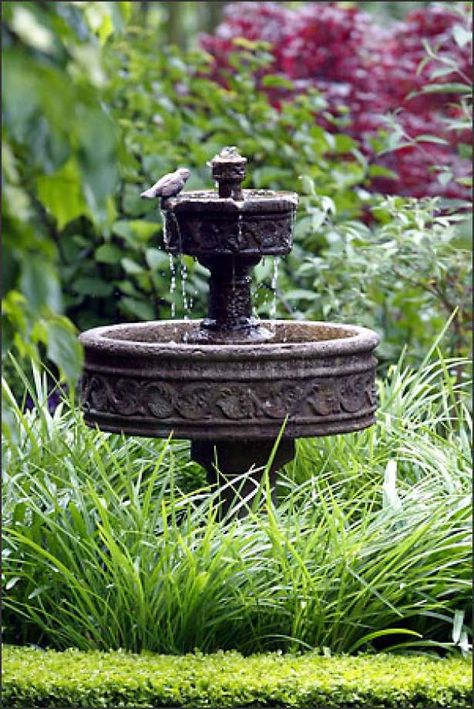 The diminutive "Paestum" fountain is perfect for a small formal side garden. Here, it is surrounded by the grassy foliage of the yellow daylily 'Eenie Weenie' and dwarf blue 'Peter Pan' Agapanthus. The garden, designed by Robyn Cannon, is edged in true dwarf English boxwood. Both water features are available at Lucca Statuary. Photo: Meryl Schenker/Seattle Post-Intelligencer Yellow Daylily, English Boxwood, Outdoor Water Features, Garden Water Fountains, Garden Water Feature, Small Water Features, Diy Garden Fountains, Blue Peter, Backyard Water Feature