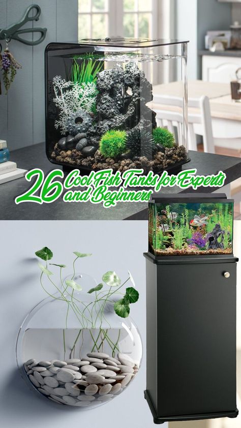 We’ve collected 28 unique fish tanks, including the perfect fish tanks for beginners, that will give you the perfect ideas of the fish tank to have. #fishtankideas #fishtank #fishtankthemes #fishtankwall #fishtankideasdecorations #fishtankterrarium #fishtankstand #fishtankdecorations Unique Fish Tanks, Fish Tank Wall, Desktop Aquarium, Acrylic Aquarium, Small Fish Tanks, Mini Aquarium, Fish Tank Stand, Fish Tank Themes, Fish Tank Terrarium