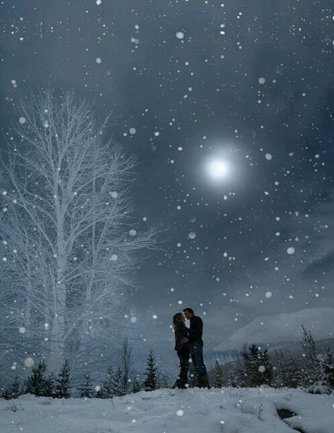 wp-1417880649319 Winter Schnee, Winter Magic, Winter Beauty, Santa Lucia, Snow Scenes, Beautiful Moon, Winter Wonder, Pics Art, Winter Scenes