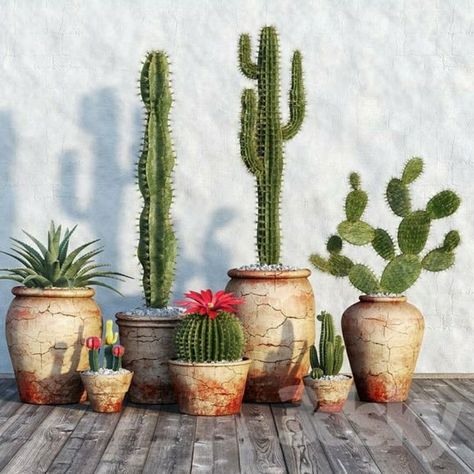 Cactus Garden Design, Mexican Resort, Resort Decor, Kaktus Dan Sukulen, Mexican Garden, Potted Cactus, Plant Pot Design, Pear Cactus, Desert Garden