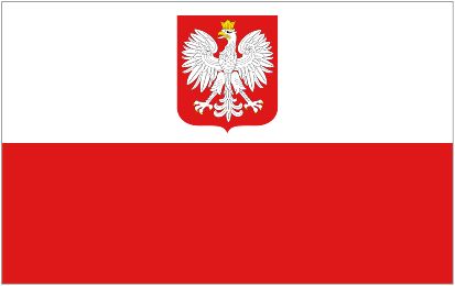 The Polish Flag - More Than Just Red And White Stripes Colonial Flag, Polish Vodka, Polish Flag, Polish Eagle, Polish People, Poland Flag, World Party, Custom Flags, Flags Of The World