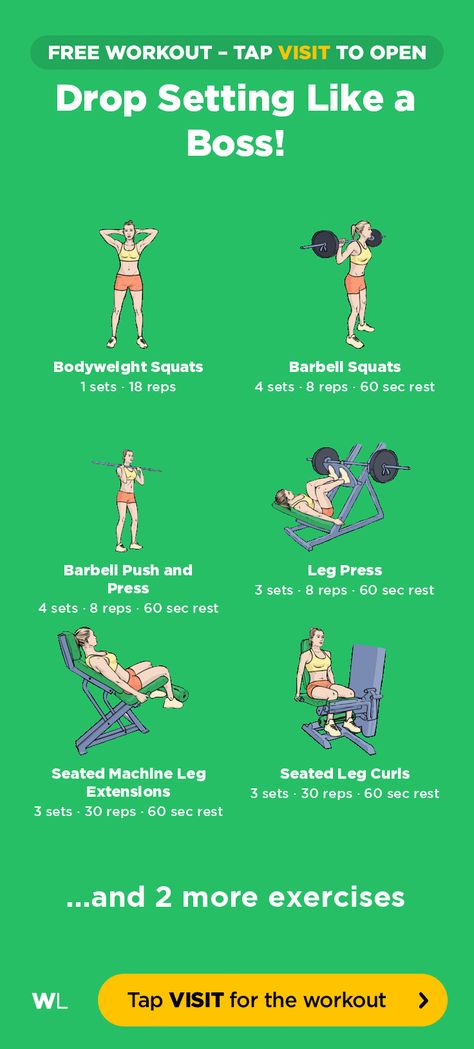 NA Workoutlabs Fit, Seated Leg Curl, Workout Book, Fit App, Barbell Squat, Leg Curl, Free Workout, Exercise Routine, Leg Press