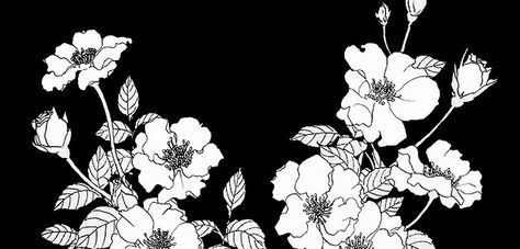 Flower Header, 트위터 헤더, Black Banner, Bg Design, Overlays Picsart, Header Pictures, Mood Wallpaper, Japon Illustration, Black And White Flowers