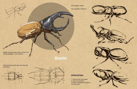 Peter Han, Kim Jung Gi, Illustration Journal, Travel Sketchbook, Props Art, Bug Art, Bio Art, Line Sketch, Tommy Lee