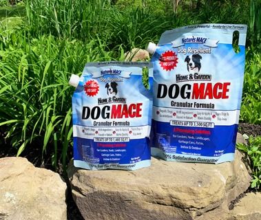 5 Ways To Stop Your Dog From Digging Holes In The Yard Dog Proof Landscaping, Dig Proof Dog Yard, Dog Digging Area, Keep Dogs From Digging, Stop Dog From Digging Holes In Yard, Stop Dog Digging Holes Yards, How To Keep Dogs From Digging, Stop Dog Digging Under Fence, How To Keep A Dog From Digging