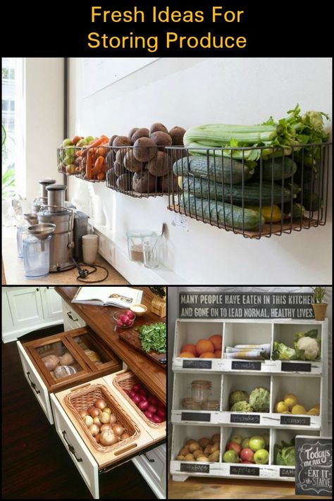 These are Inexpensive Ideas for Storing Produce You Can Easily Implement in Your Home Storage For Fruits And Vegetables In Kitchen, Dry Produce Storage, Storing Produce In Pantry, Under Cabinet Produce Storage, How To Store Produce On Counter, Best Ways To Store Produce, Countertop Produce Storage Ideas, Fresh Produce Kitchen Storage, Produce Storage Ideas