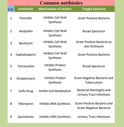 Learn about Common Antibiotics in the form of Chart. Antibiotics Chart, Study Science, Ourselves Topic, Mustard Oil, Cell Wall, Positive Notes, Energy Sources, Science, Education