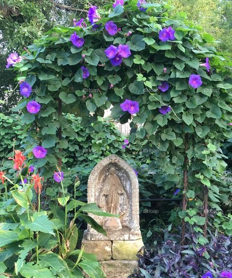 Backyard Mary Grotto, Garden Virgin Mary, Garden Shrine Ideas, Garden Grotto Virgin Mary, Mary Grotto Garden, Mary Garden Ideas Backyards, Virgin Mary Garden Shrine, Mary Garden Ideas, Backyard Shrine