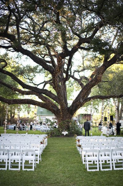 tree with lights Oak Tree Wedding Ceremony, Tree Wedding Ceremony, Oak Tree Wedding, Wedding Tree Decorations, Wedding Ceremony Arch, Wedding Flower Decorations, Future Mrs, Tree Photography, Ceremony Arch