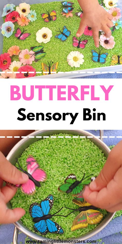 Spring Themed Crafts For Toddlers, Spring Sensory Bin For Toddlers, Insect Sensory Activities, Butterfly Themed Activities For Preschool, Butterfly Centers Preschool, Butterfly Science Activities Preschool, Bug Themed Activities For Toddlers, Spring Ideas For Toddlers, Spring Themed Toddler Activities