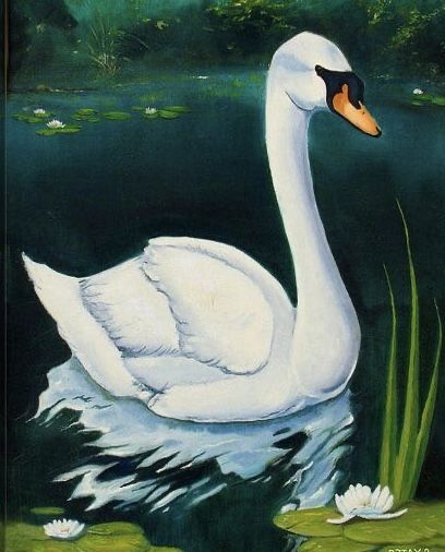 Swan Lake Illustration, Swan Drawing, Swan Painting, Swans Art, Image Nature, Images Vintage, Animal Painting, Cross Paintings, Fabric Painting