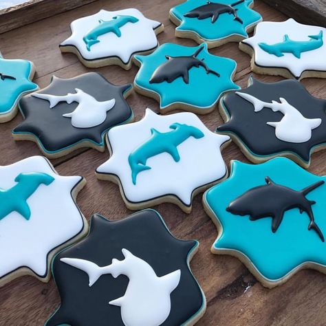 Aime Pope on Instagram: “Shark Week is coming! . . . . . . . . #sharks #sharkweek #discoverychannel #decoratedcookies #cookies #customcookies #sugarcookies…” Toddler Birthday Cakes, No Bake Sugar Cookies, Shark Birthday Invitations, Fish Cookies, Beach Cookies, Shark Cookies, Shark Themed Birthday Party, Iced Sugar Cookies, Shark Birthday Party