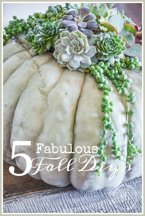 stonegable 5 FABULOUS FALL DIY’S http://www.stonegableblog.com/5-fabulous-fall-diys/ via bHome https://bhome.us Pumpkin Succulents, Pumpkin Plants, Pumpkin Flowers, Succulent Pumpkin, Manor Farm, Flower Centerpiece, Foam Pumpkins, Pumpkin Flower, Blue Pumpkins