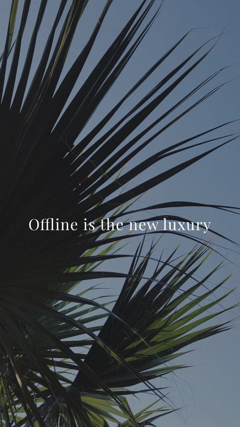 Offline is the new luxury Offline Is The New Luxury