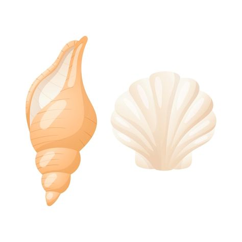 Vector conjunto de dos conchas marinas r... | Premium Vector #Freepik #vector #caracoles-mar #almeja #concha-mar #caracol Drawing Inspo, Design Reference, Little Mermaid, Under The Sea, The Little Mermaid, Sea Glass, Premium Vector, Sea Shells, Graphic Resources