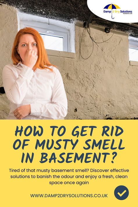 How to Get Rid of Musty Smell in Basement? Cellar Conversion, Clean Space, Smell Fresh, The Basement, Smell Good, Laundry Room, Basement