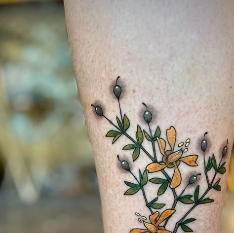 Lisa Cardenas Art on Instagram: "Got to do a color creosote branch for a friend's 1st tattoo on her 50th birthday. I love how creosote represents such an intimate connection with the desert for so many people." Creosote Tattoo, So Many People, A Color, Many People, Tattoo On, The Desert, 50th Birthday, Tatting, I Love