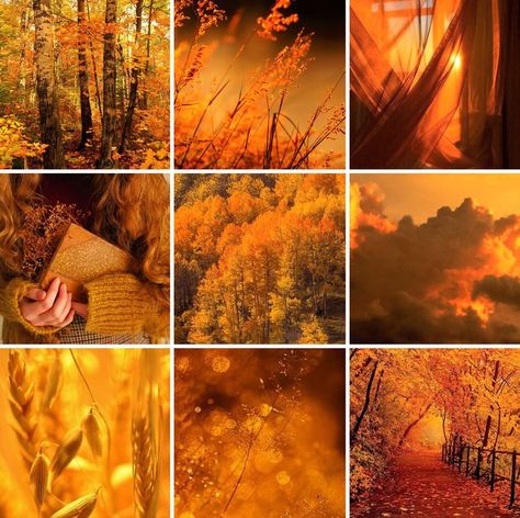 Golden Hour Coast, Bath and Body Works scents, moodboard, aesthetic, my edits Golden Hour Mood Board, Bath And Body Works Scents, Moodboard Yellow, Soul Bond, Yellow Moodboard, Character Creating, Adoptable Oc, Ideal Aesthetic, Moodboard Inspo