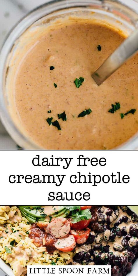 Creamy Chipotle Sauce is dairy-free and perfect for pouring over black bean burrito bowls for an extra burst of flavor. It's easy to make and plant-based too! This sauce is a mixture of some really simple ingredients and all you need is a bowl and a spoon. No blenders required! Little Spoon Farm, Creamy Chipotle Sauce, Black Bean Burrito, Dairy Free Sauces, Plant Based Diet Meal Plan, Healthy Bowls Recipes, Plant Based Recipes Easy, Healthy Plant Based Recipes, Plant Based Diet Recipes