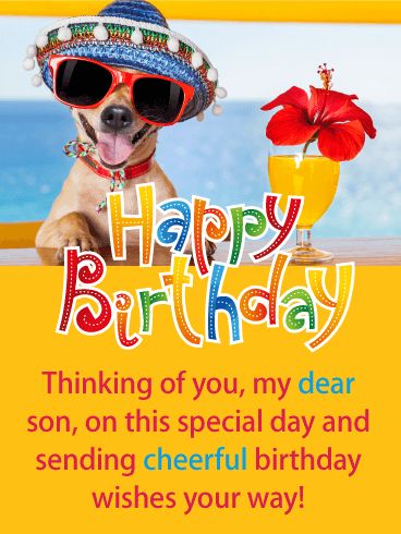 Festive Dog -  Happy Birthday Card for Son: It's your son's birthday so it's time to get festive with this adorable dog who is clearly having a great time and ready for the celebration to start! This birthday card displays vibrant colors of red and yellow and the artistic Happy Birthday lettering looks excellent! Let your son know you are thinking of him by sending him some joy with this extra fun birthday card today! #happybirthdayforhim Happy Birthday Card For Son, Happy Birthday Son From Mom Funny, Happy Birthday Son Funny, Funny Birthday Wishes For Son, Happy Birthday Son Wishes, Birthday Greetings For Sister, Happy 31 Birthday, Birthday Card For Son, Happy 35th Birthday