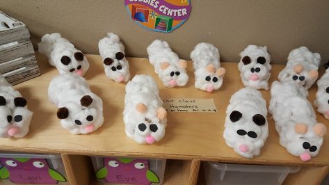 Hamsters Hamster Activities For Preschool, Hamster Crafts Preschool, Hamster Craft, Preschool Pets, Pet Study, Preschool Craft Activities, February Activities, Pet Theme, Early Childhood Activities