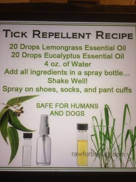 Tick repellent Homemade Tick Repellent, Natural Tick Repellent, Bug Spray Recipe, Eaten Alive, Tick Spray, Diy Herbal Remedies, Natural Body Lotion, Tick Repellent, Mosquito Bites