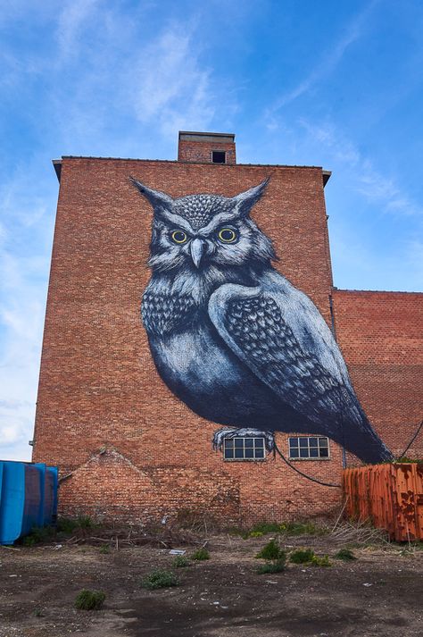 Mural by ROA in Hasselt, Belgium Dm Inspiration, Art Homework, Graffiti Artwork, Best Street Art, Amazing Street Art, 3d Street Art, Murals Street Art, Natural Form, Gcse Art