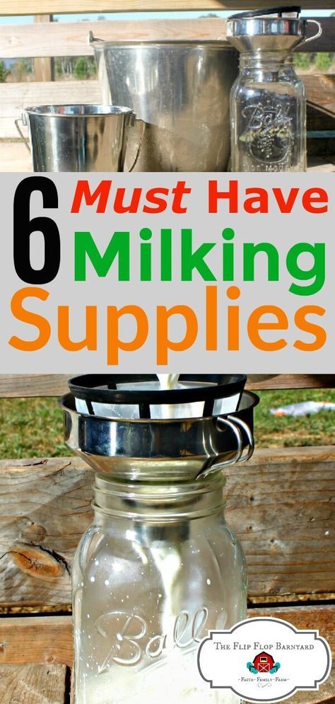 Goat Milking, Goat Milk Recipes, Homesteading Animals, Raising Farm Animals, Goat Care, Raising Goats, Dairy Goats, Mini Farm, Goat Farming