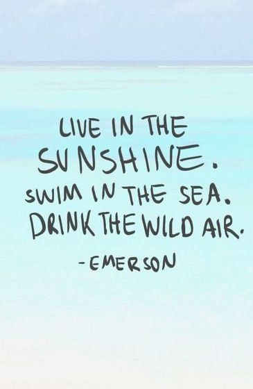 Travel Quotes  Inspirational Beach Quotes; Marco Island Love; Beach Lovin'; Florida Vacations; I Love the Beach Drink The Wild Air, Live In The Sunshine, Vibe Quote, Best Travel Quotes, Ocean Quotes, Travel Quotes Inspirational, Beach Quotes, Life Thoughts, Summer Quotes