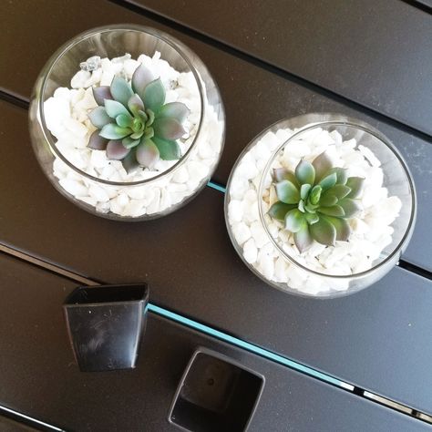 Simple Succulent Centerpiece, Succulent Table Decor, Diy Succulents Centerpiece, Succulent Wedding Table, Succulent Table, Wedding Table Centerpieces Diy, Succulent Wedding Centerpieces, Succulent Centerpieces, Bridal Shower Centerpieces