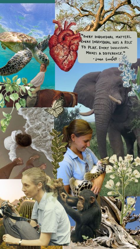 #biology#janegoodall#janegoodalfangirl#wildlifebiology#ecology#fieldwork# Zoology Career, Vet School Motivation, Green Jobs, Environmental Scientist, Conservation Biology, Vet Medicine, Wildlife Biologist, Vet School, Pet Vet