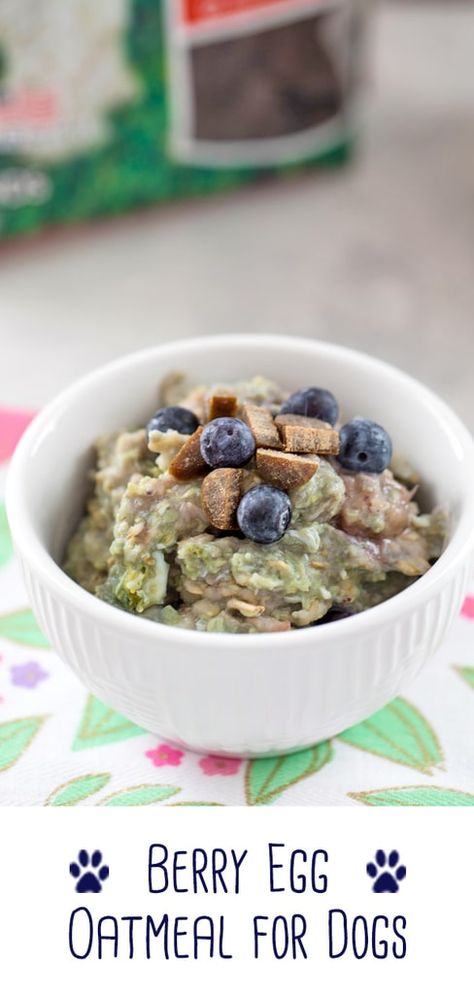 Berry Egg Oatmeal for Dogs Doggie Breakfast Recipes, Meals For Puppies, Dog Oatmeal Food, Breakfast For Puppies, Oatmeal Recipes For Dogs, Oatmeal Recipe For Dogs, Homemade Dog Food With Eggs, Homemade Dog Food For Dogs With No Teeth, Homemade Breakfast Food For Dogs