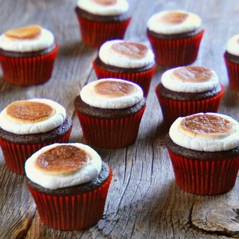 Toasted Marshmallow Cupcakes Recipe -- When the marshmallows appear golden brown on top and puffed slightly, take the cupcakes out of the oven and carefully press the marshmallows down, using your hand or a spoon, to cover the whole top of the cupcake. Mm Cupcakes, Brownies Truffles, Fudge Caramel, Marshmallow Cupcakes, Truffles Chocolate, Food Korean, Martha Stewart Recipes, Food Carts, Cupcakes Recipe