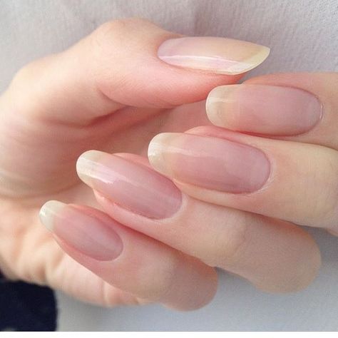 Long Round Nails, Long Natural Nails, Henna Nails, Long Nail Art, Simple Gel Nails, Round Nails, Short Acrylic Nails Designs, Oval Nails, Clean Nails