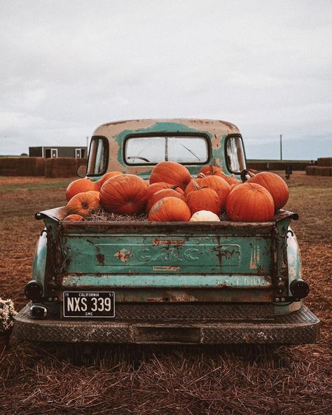 Meg's Oldfarmhouse, Hay Ride, October Country, Autumn Scenery, Fall Halloween Decor, Fall Feels, Paint And Sip, Autumn Beauty, Fall Pictures